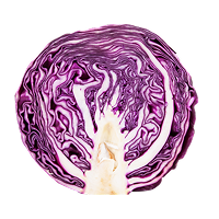 재료 이미지 14